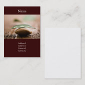 Visitekaartje (Voorkant / Achterkant)