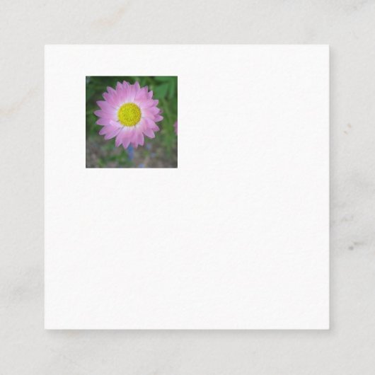 Visitekaartje (Achterkant)