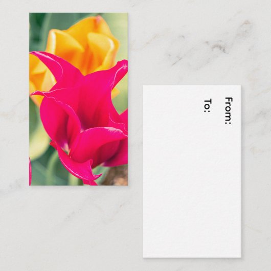 Visitekaartje (Voorkant / Achterkant)