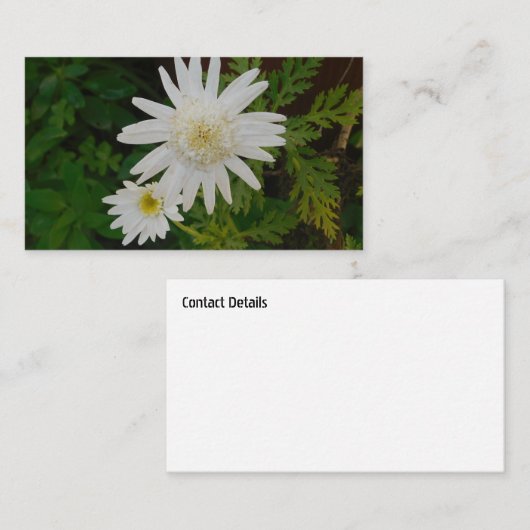 VISITEKAARTJE ART&DESIGN STIJL (Voorkant / Achterkant)