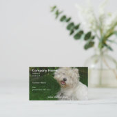 Visitekaartje Bichon Frise (Staand voorkant)