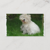 Visitekaartje Bichon Frise (Achterkant)