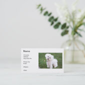 Visitekaartje Bichon Frise (Staand voorkant)
