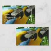 Visitekaartje Blauwe en goudmakreel (Voorkant / Achterkant)