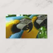 Visitekaartje Blauwe en goudmakreel (Achterkant)