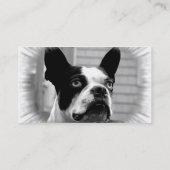 Visitekaartje Boston Terrier (Achterkant)