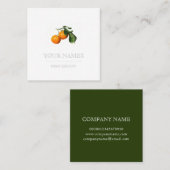 VISITEKAARTJE : BOTANISCHE SINAASAPPELS (Voorkant / Achterkant)