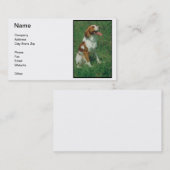 Visitekaartje Brittany Spaniel (Voorkant / Achterkant)