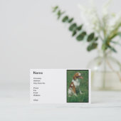 Visitekaartje Brittany Spaniel (Staand voorkant)