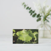 Visitekaartje druiven wijngaarden bladeren (Staand voorkant)