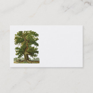 Visitekaartje eikenboom