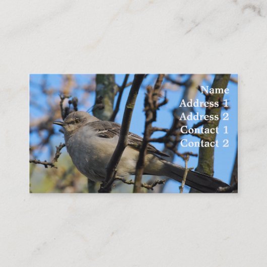 Visitekaartje fotografie (Voorkant)