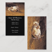 Visitekaartje geitenhouderij (Voorkant / Achterkant)