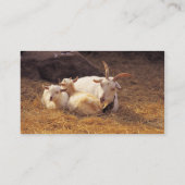 Visitekaartje geitenhouderij (Achterkant)