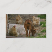 Visitekaartje geitenhouderij (Achterkant)