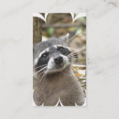 Visitekaartje gemaskeerd Raccoon (Achterkant)