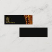 Visitekaartje goudmunten (Voorkant / Achterkant)