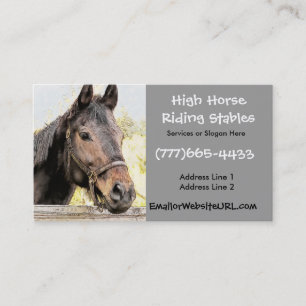Visitekaartje Horse Riding Stables