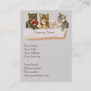 Visitekaartje kattenfamilie