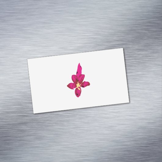 Visitekaartje Magnet Magnetisch Visitekaartje (Voorbeeld)