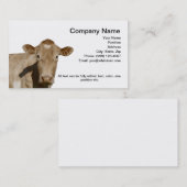 Visitekaartje melkkoeien (Voorkant / Achterkant)