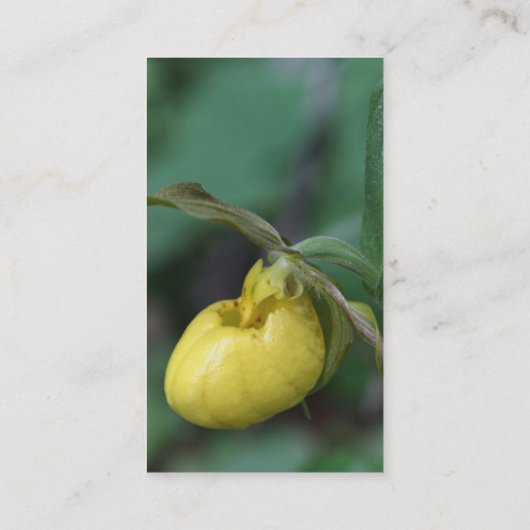 Visitekaartje met geel damesglansblauw (Achterkant)