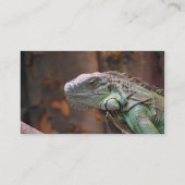 visitekaartje met kleurrijke Iguana Lizard (Achterkant)