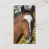 Visitekaartje met kwartpaarden (Achterkant)