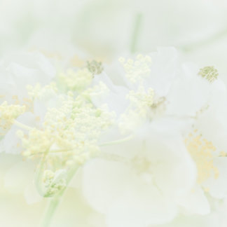 Visitekaartje met macrobloemdesign