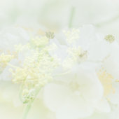 Visitekaartje met macrobloemdesign