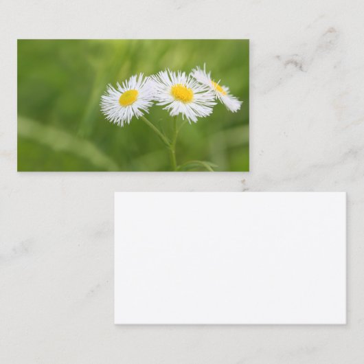 Visitekaartje met onkruidachtige maaltijd (Voorkant / Achterkant)