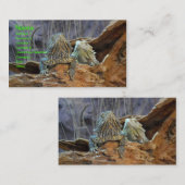 Visitekaartje met twee merkwaardige lizards (Voorkant / Achterkant)