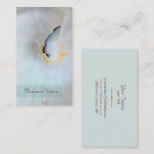 Visitekaartje Nautilus Shell (Voorkant / Achterkant)