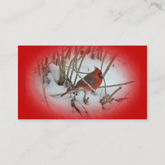 Visitekaartje oostelijk kardinaal Songbird (Achterkant)