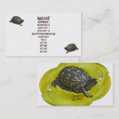 Visitekaartje oosterbox Turtle (Voorkant / Achterkant)
