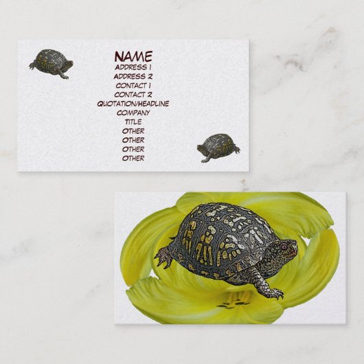 Visitekaartje oosterbox Turtle (Voorkant / Achterkant)