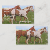 Visitekaartje Paardenhaar  (Voorkant / Achterkant)