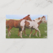 Visitekaartje Paardenhaar  (Achterkant)