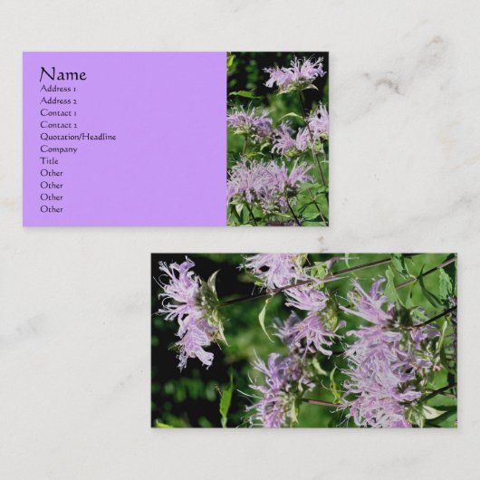 Visitekaartje Paarse bijenbalm fotografie (Voorkant / Achterkant)
