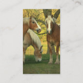 Visitekaartje Palomino Draft Horses (Achterkant)