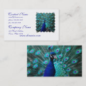  Visitekaartje Peacock (Voorkant / Achterkant)