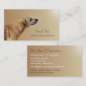 Visitekaartje Pet Care en adoptie (Voorkant / Achterkant)