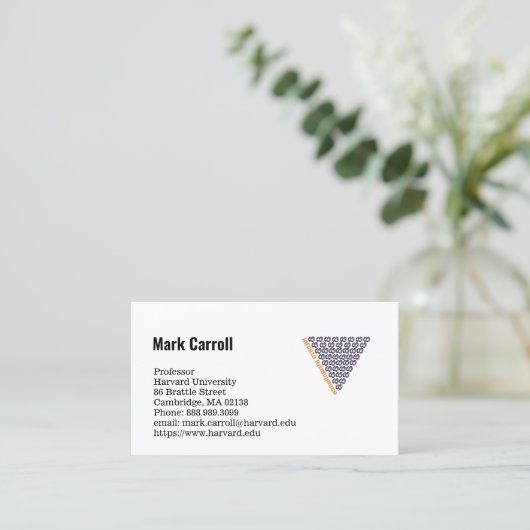 visitekaartje professor (Staand voorkant)