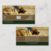 Visitekaartje profiel hyenas safari (Voorkant / Achterkant)