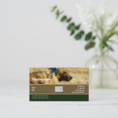 Visitekaartje profiel hyenas safari (Staand voorkant)