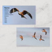 Visitekaartje Rode kite (Voorkant / Achterkant)