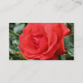 Visitekaartje Rode roze Natuur (Achterkant)