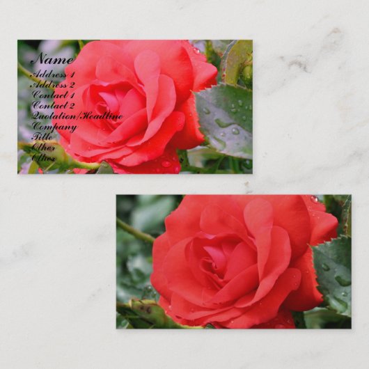 Visitekaartje Rode roze Natuur (Voorkant / Achterkant)