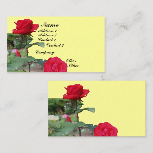 Visitekaartje rode rozen ventilator (Voorkant / Achterkant)