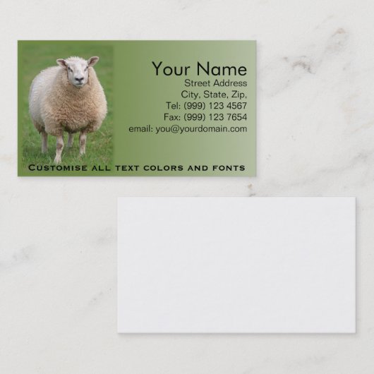 Visitekaartje schapen (Voorkant / Achterkant)